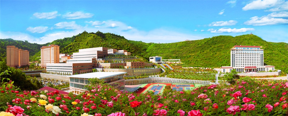 三季有花、四季常青的金徽礦區(qū)-p2.jpg