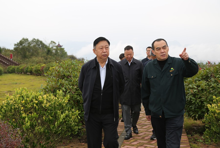 19-2021年10月，原國(guó)土資源部副部長(zhǎng)汪民蒞臨公司調(diào)研。.jpg