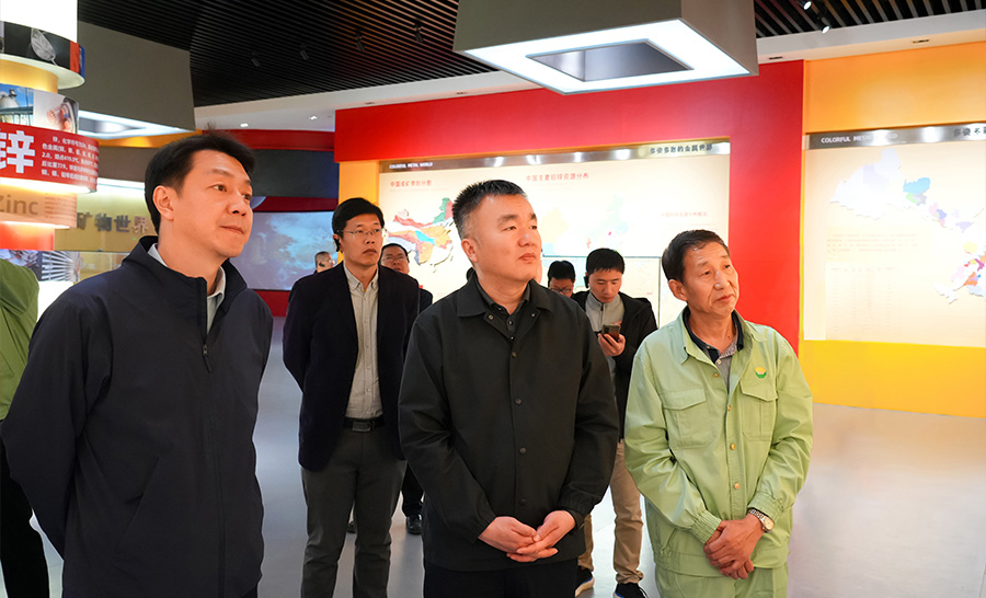 10.4-2024年04月，自然資源部礦保司副司長(zhǎng)王博蒞臨公司調(diào)研。.jpg
