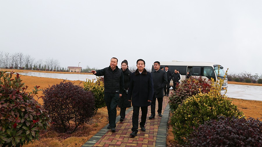 45-2020年12月，省高級(jí)人民法院黨組成員、副院長(zhǎng)任建國(guó)蒞臨金徽股份調(diào)研知識(shí)產(chǎn)權(quán)司法保護(hù)工作。.jpg